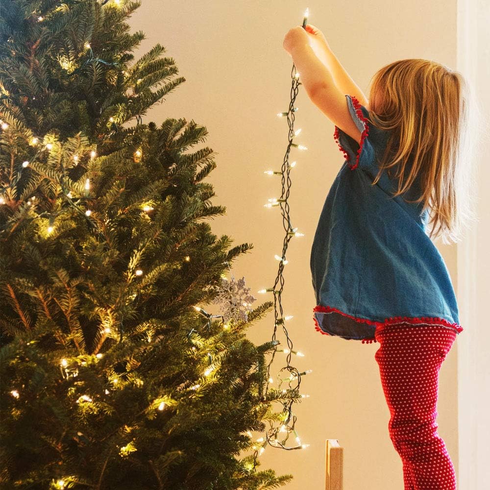 LED String Lights with 8 Modes and Memory Timer, Cozy Bedroom and Living Room Decor in Warm White, Waterproof USB or Battery Powered Fairy Lights